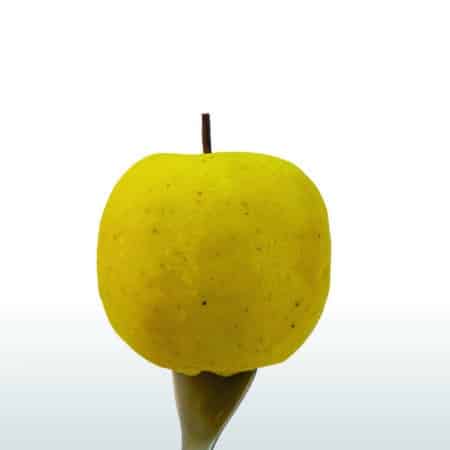 Pomme