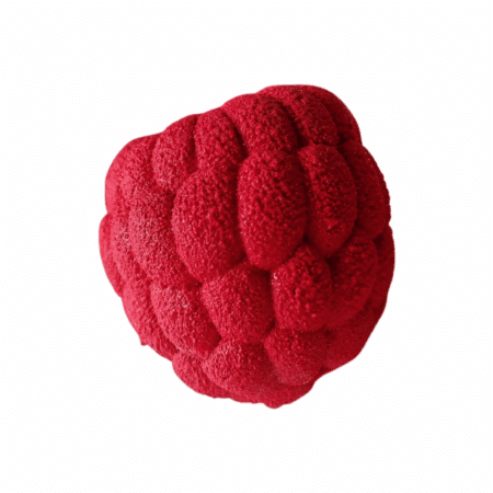 Framboise1