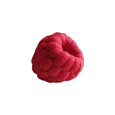 Framboise2